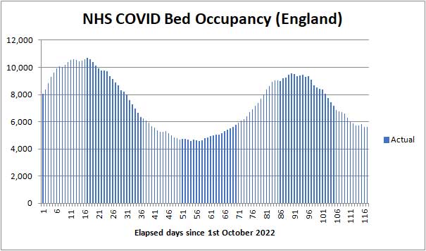 COVID beds