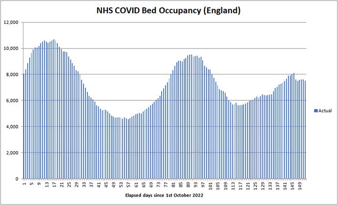 COVID beds