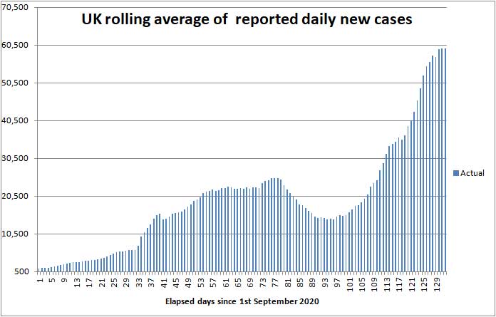 COVID daily new cases