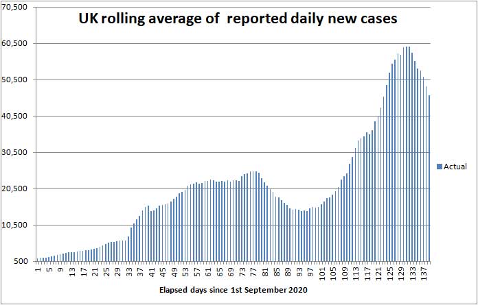 COVID daily new cases