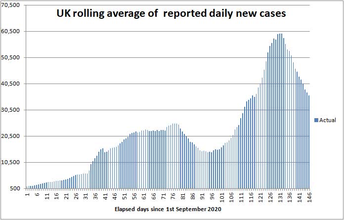 COVID daily new cases