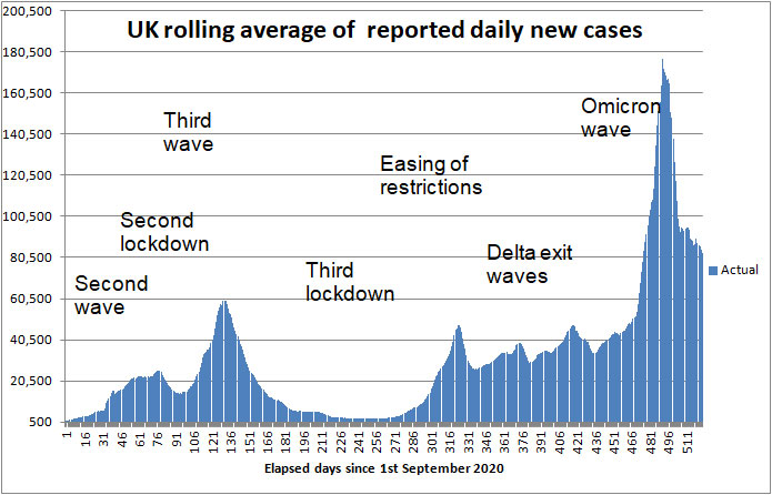 COVID daily new cases