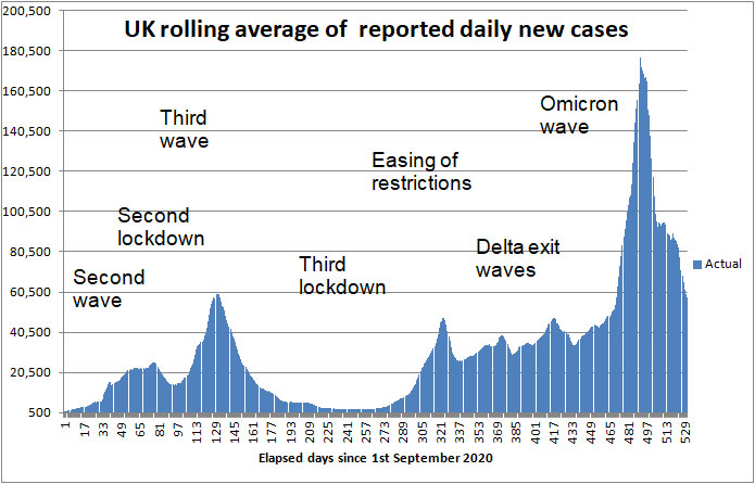 COVID daily new cases