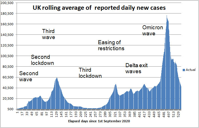 COVID daily new cases