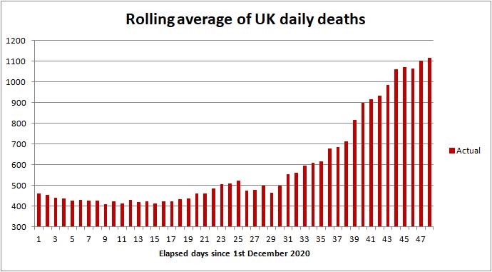 COVID daily death rate