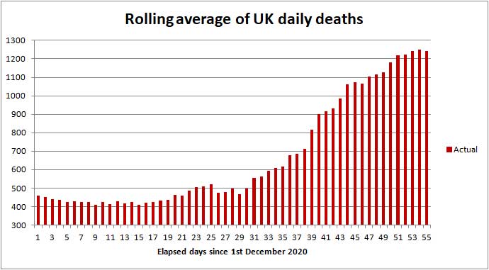 COVID daily death rate