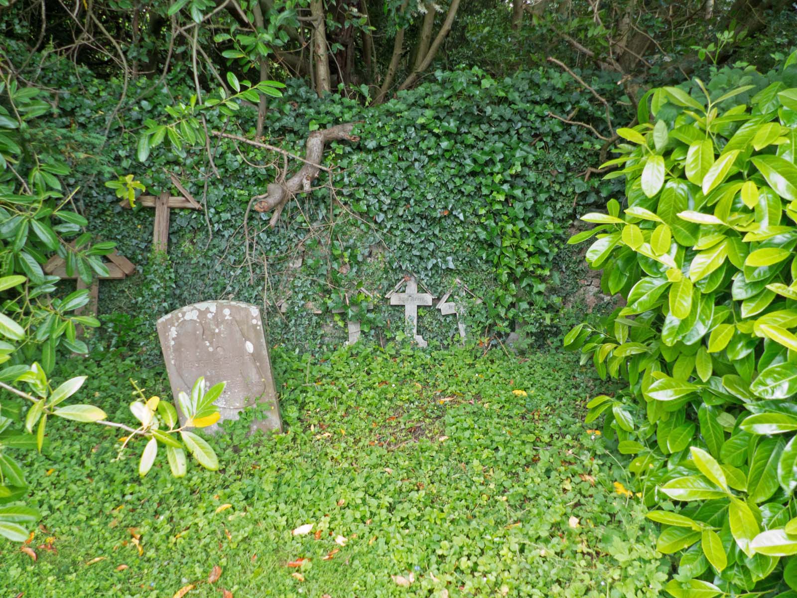 Grave of Albert and Mary Stevens