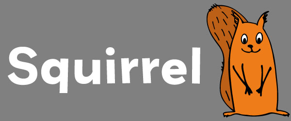 Squirrel Internet Ltd logo