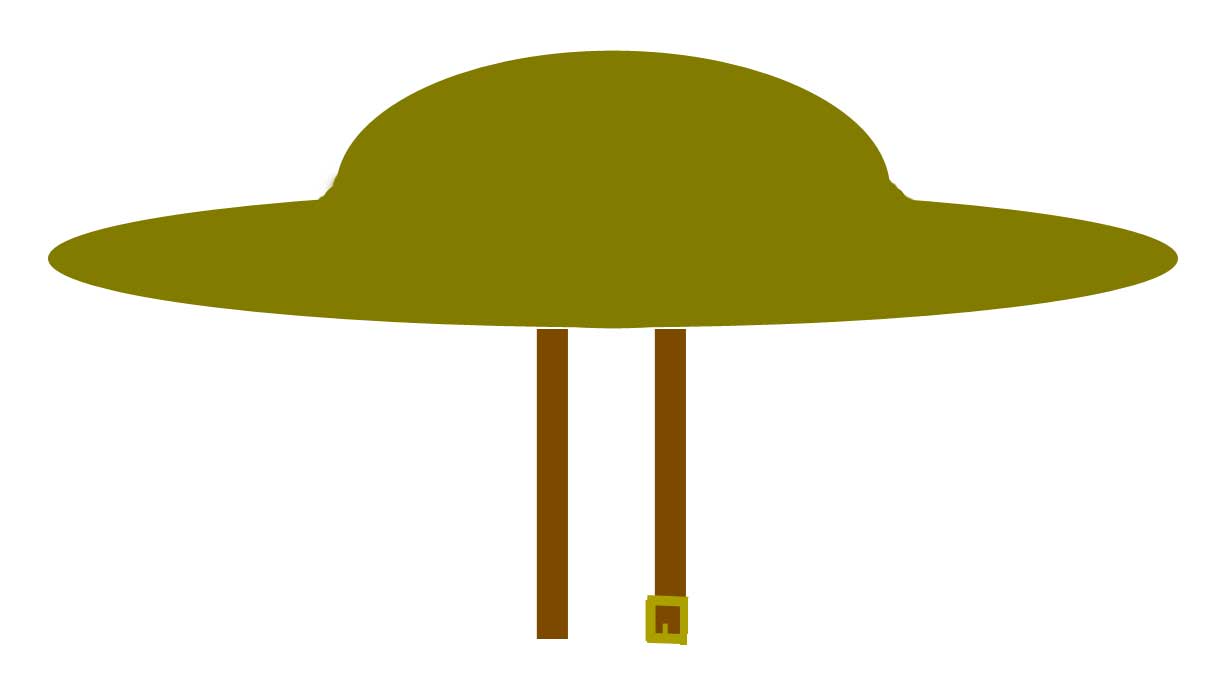 Tin hat